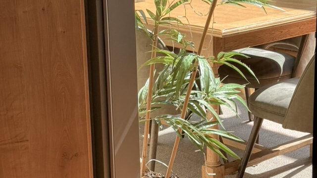 5234590c fbfc 4cab a829 050aaefc84de 1 105 c